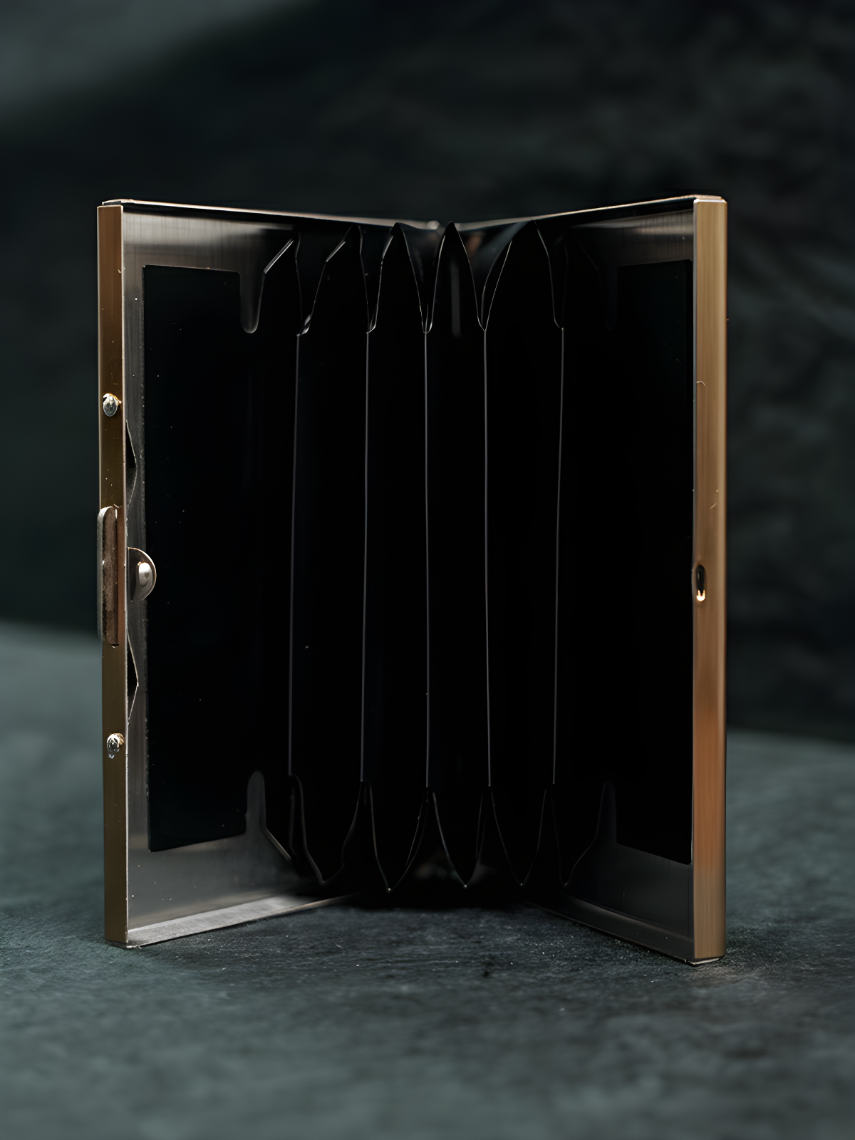 Secure, Stylish & Durable Premium Card Holder in Golden Colour